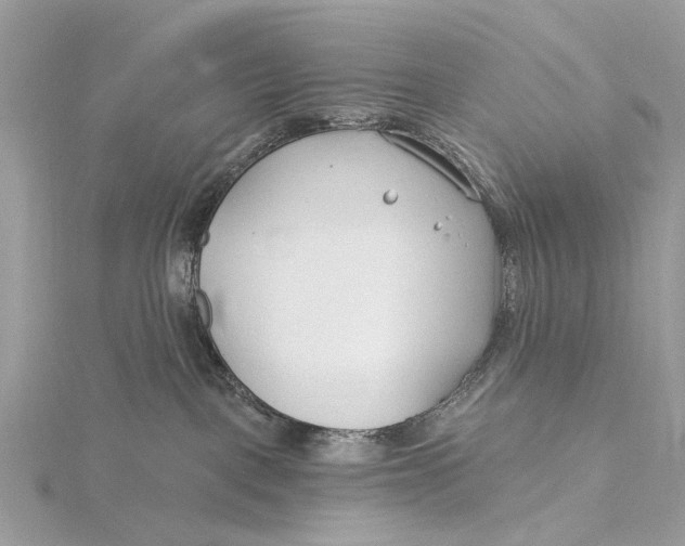 X0000115770093200912041440