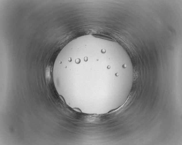 X0000115770094200912041440