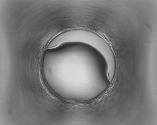 X0000115770097200912041439