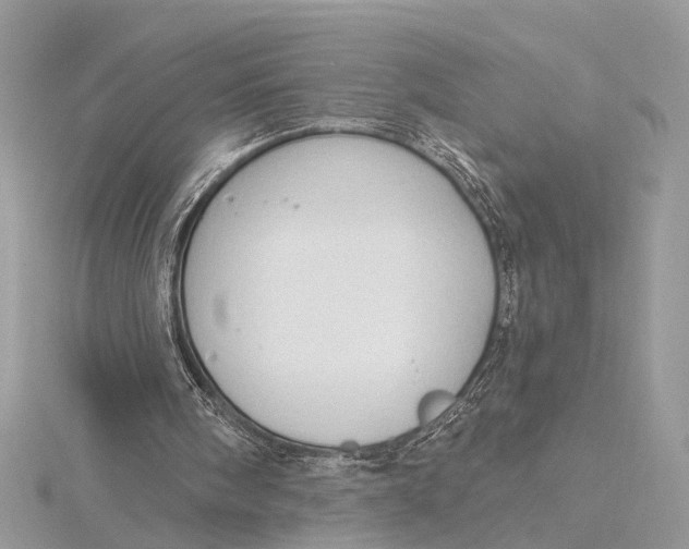 X0000115770098200912041439