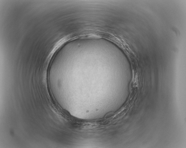 X0000115770099200912041439