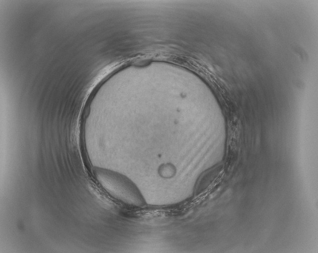 X0000115770100200912041439