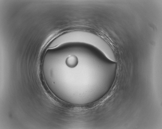 X0000115770101200912041439