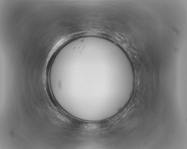 X0000115770102200912041439