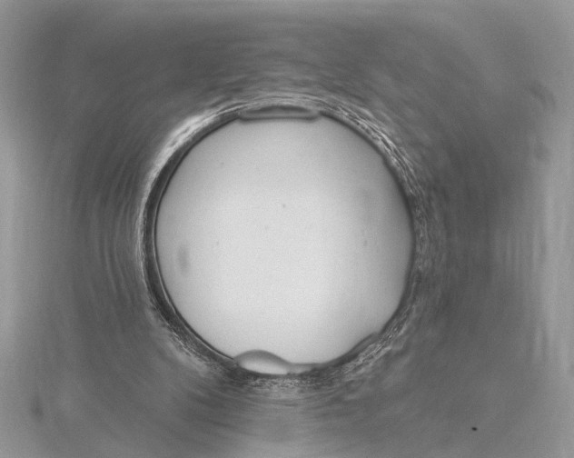 X0000115770104200912041439