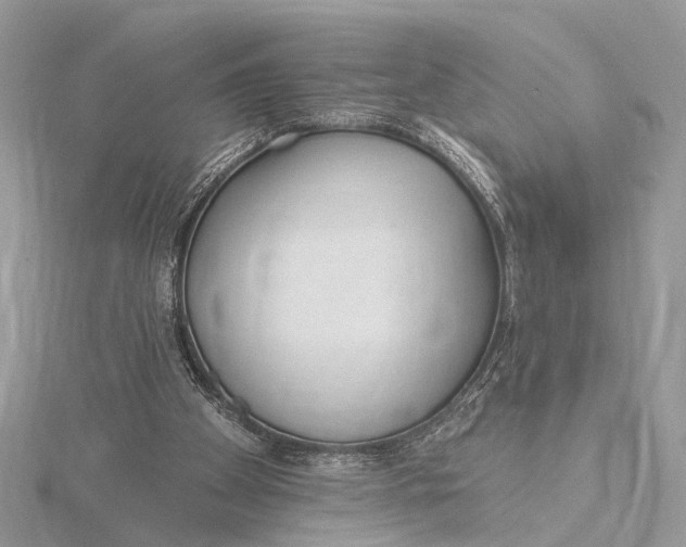 X0000115770105200912041439