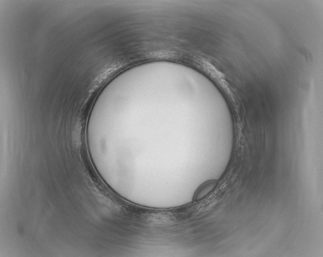 X0000115770106200912041439