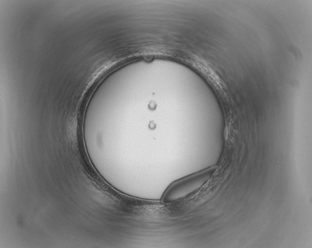 X0000115770108200912041439