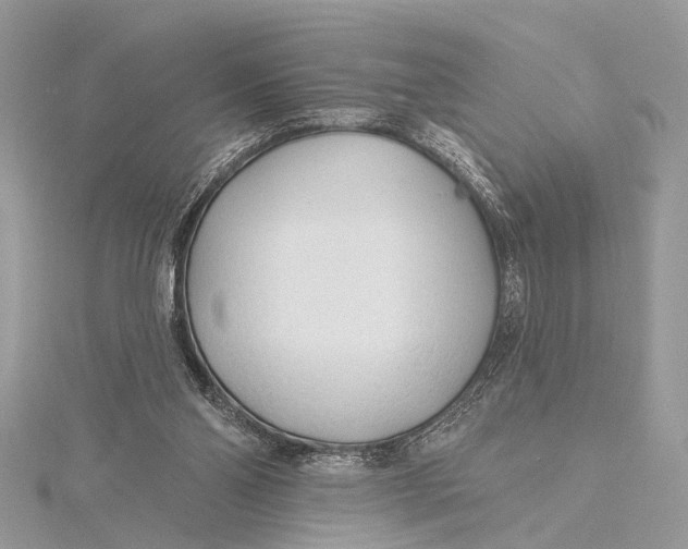 X0000115770110200912041439