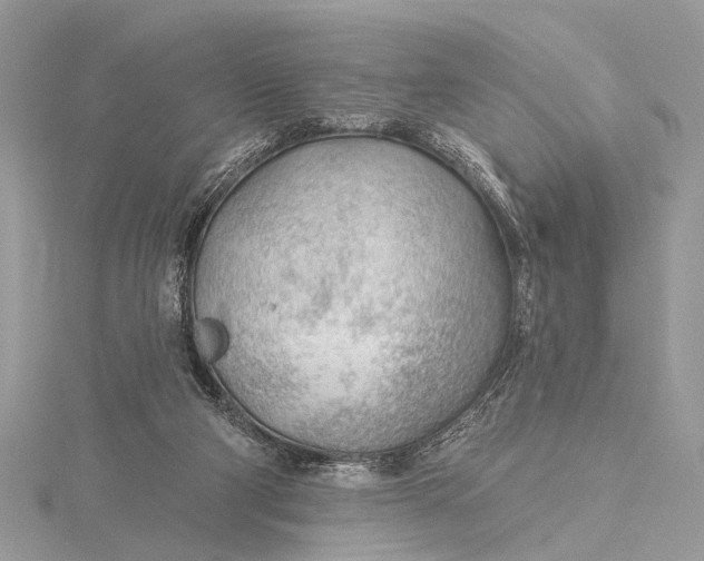 X0000115770114200912041439