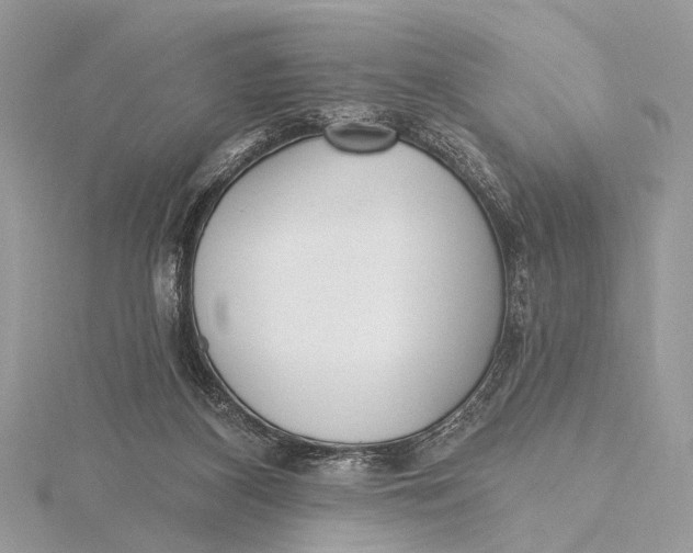 X0000115770116200912041439