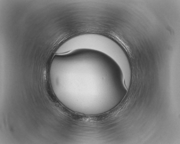 X0000115770117200912041439