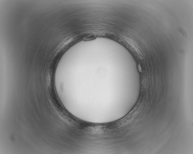 X0000115770120200912041439