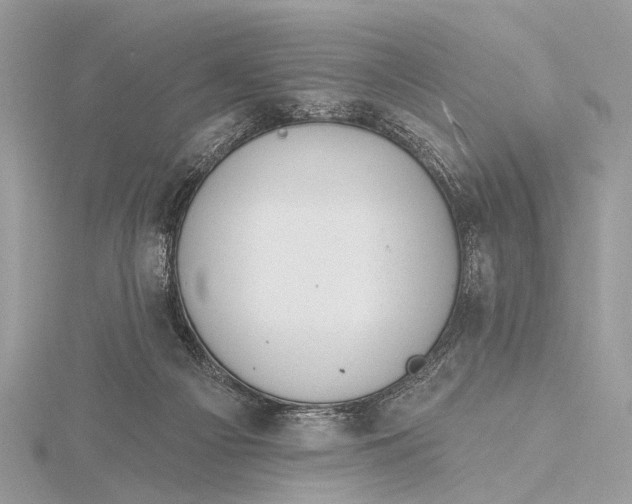 X0000115770121200912041439