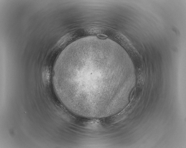 X0000115770124200912041439