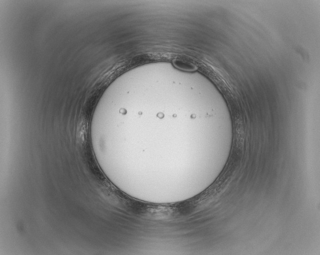 X0000115770125200912041439