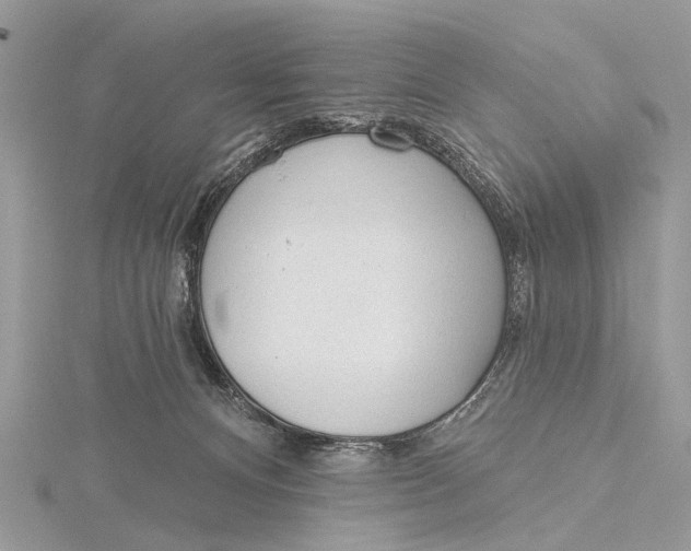 X0000115770128200912041439