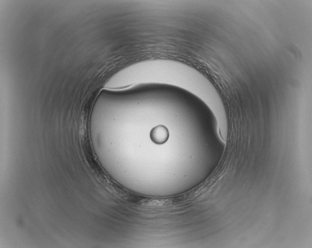 X0000115770129200912041439