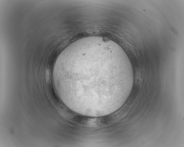 X0000115770130200912041439