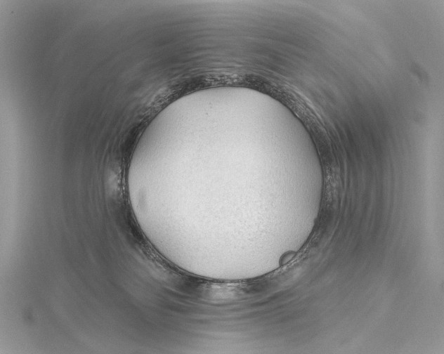 X0000115770134200912041439