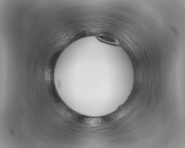 X0000115770135200912041439