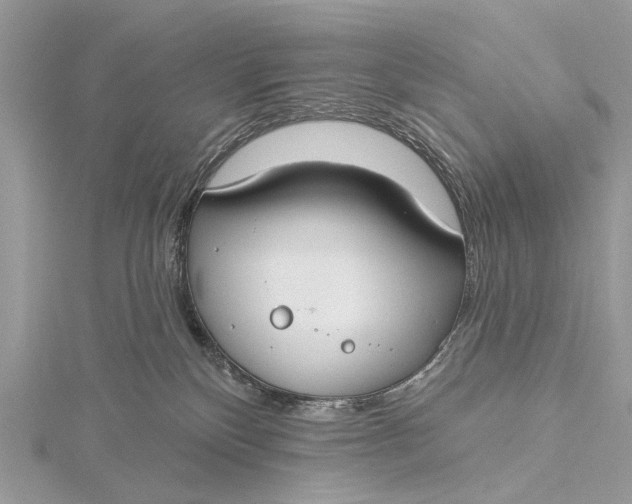 X0000115770136200912041439