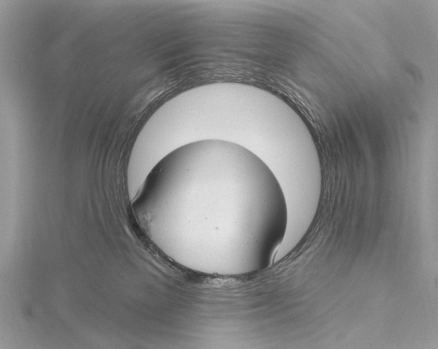 X0000115770137200912041439