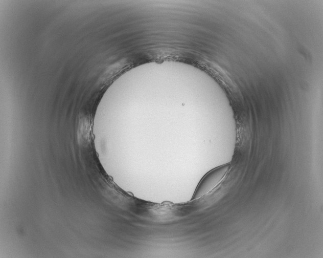 X0000115770142200912041439