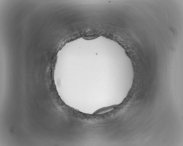 X0000115770144200912041439