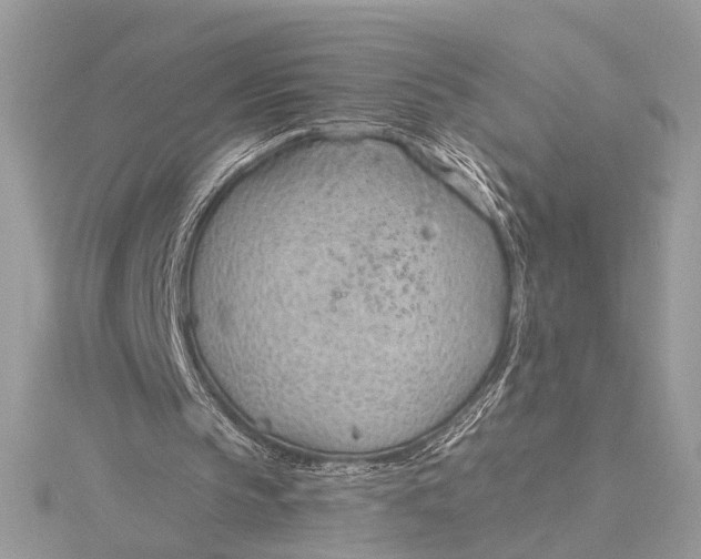 X0000115770145200912041438