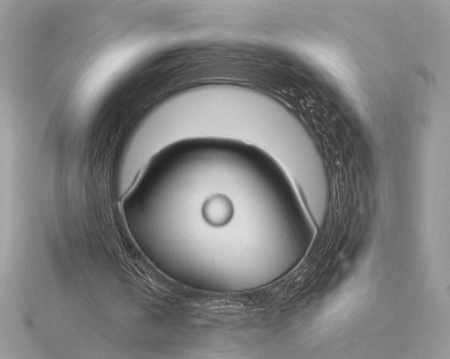 X0000115770146200912041438