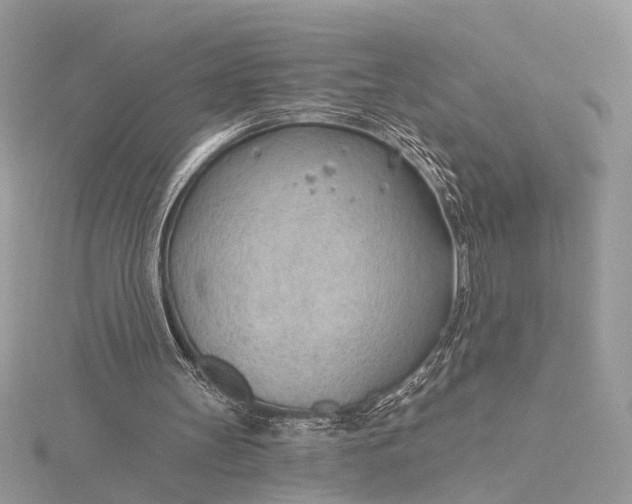 X0000115770147200912041438