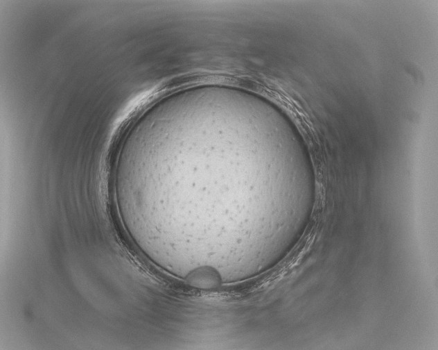 X0000115770149200912041438