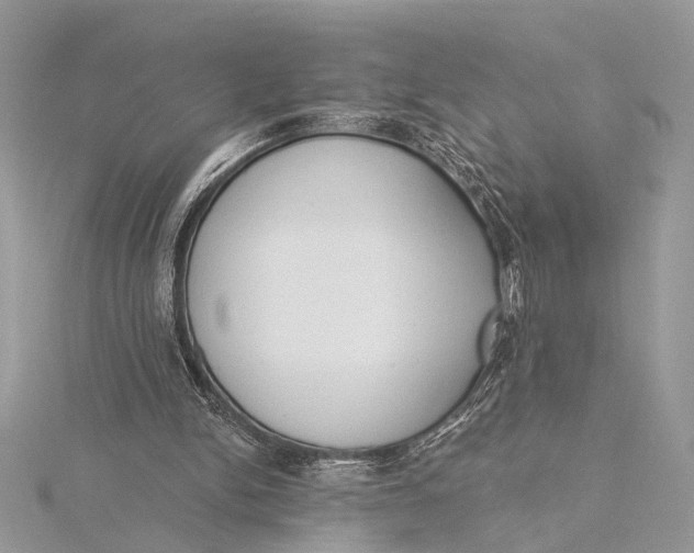 X0000115770150200912041438