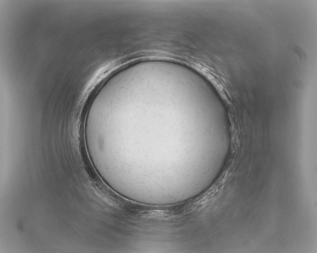 X0000115770151200912041438