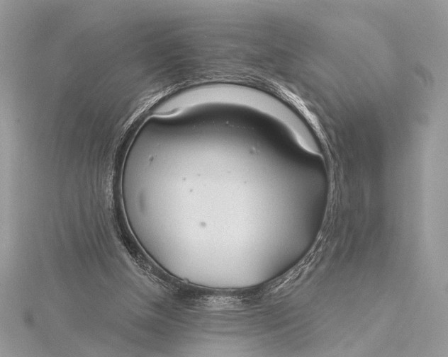 X0000115770154200912041438