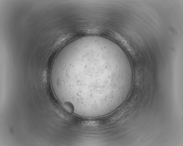 X0000115770161200912041438