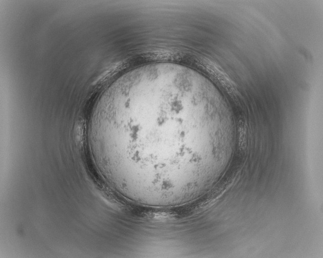 X0000115770165200912041438