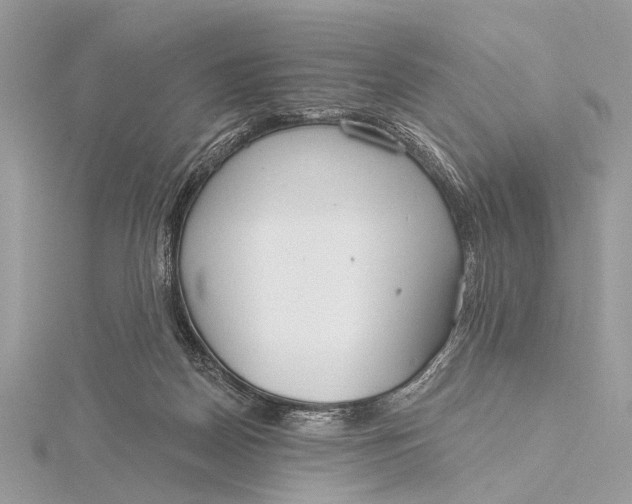 X0000115770170200912041438