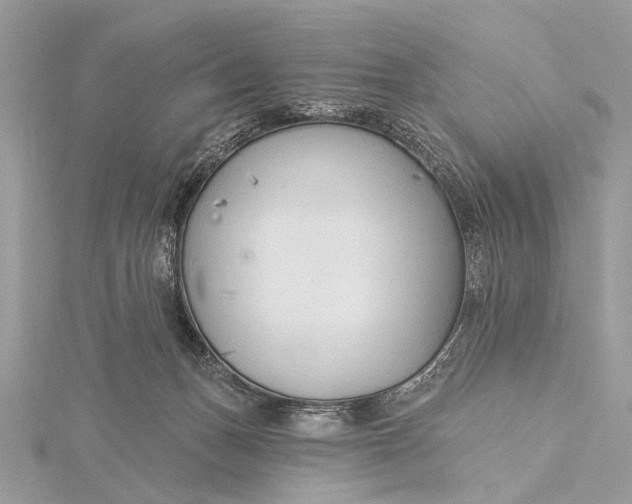 X0000115770175200912041438