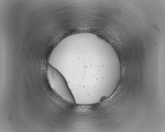 X0000115770179200912041439