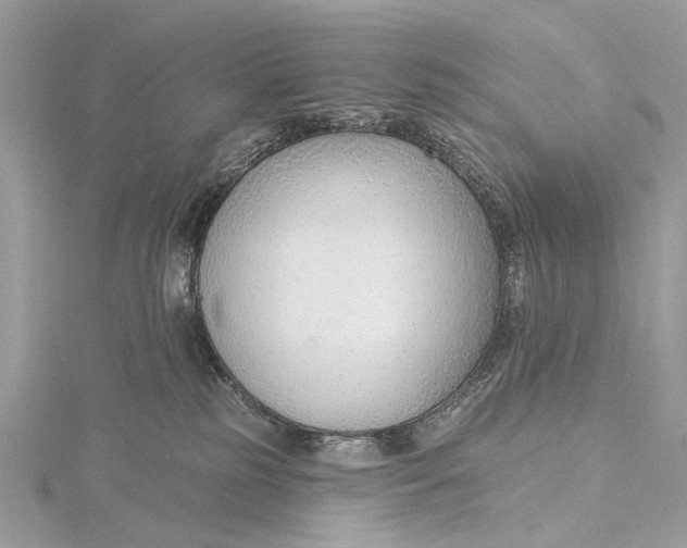 X0000115770185200912041439