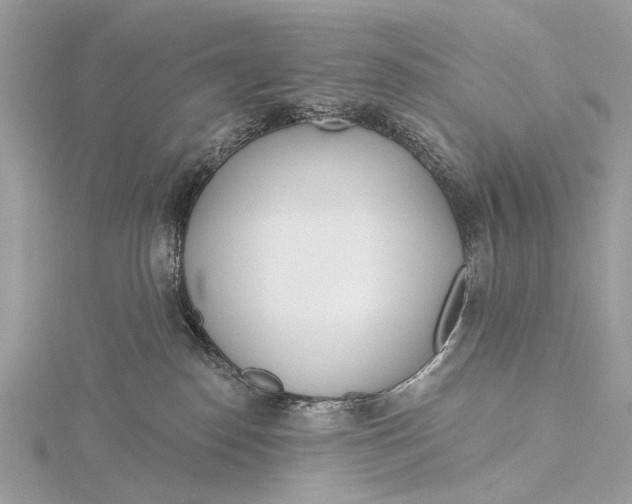 X0000115770186200912041439