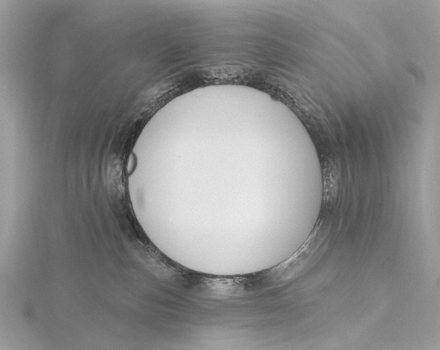 X0000115770187200912041439