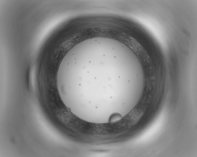 X0000115770189200912041439