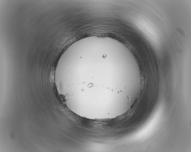 X0000115770190200912041439