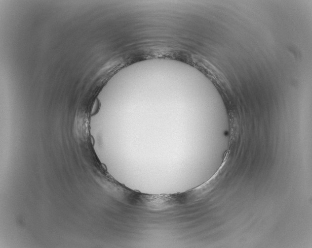 X0000115770191200912041439