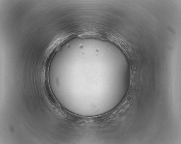 X0000115770194200912041438