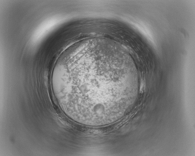 X0000115770195200912041438