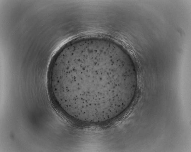 X0000115770196200912041438